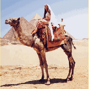 Camel